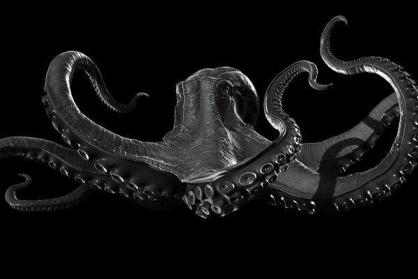 Kraken tor marketplace