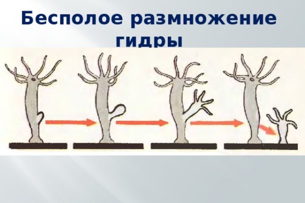 Зарегистрироваться на сайте кракен