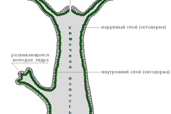 Kra50.at Вход на сайт главная страница