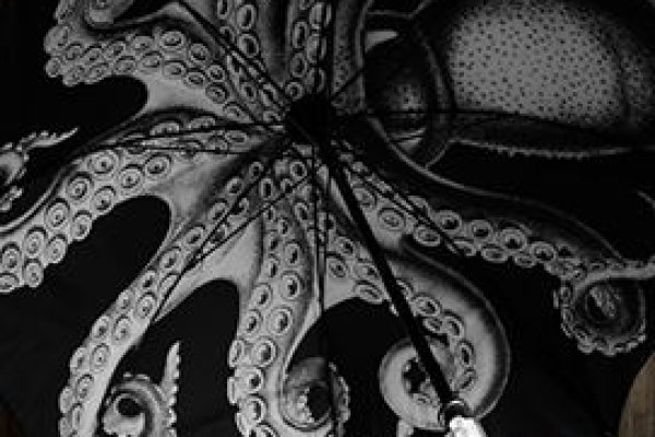 Как вывести деньги с kraken