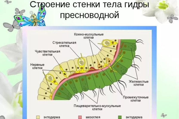 Кракен даркнет зеркало пв