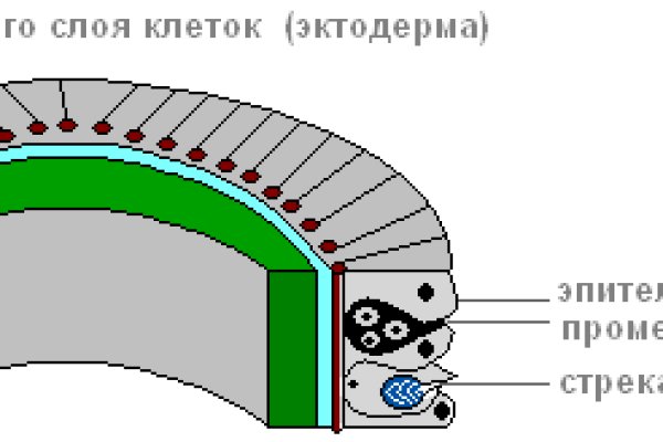 Kraken сайт вход