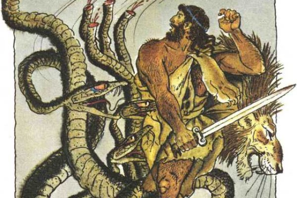 Kraken 19 at