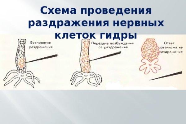 Кракен тор