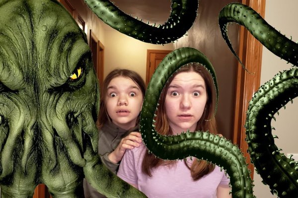 Как найти kraken