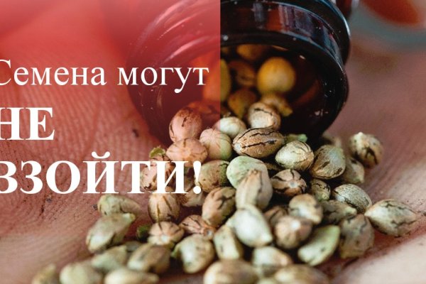 Кракен зеркало сайта