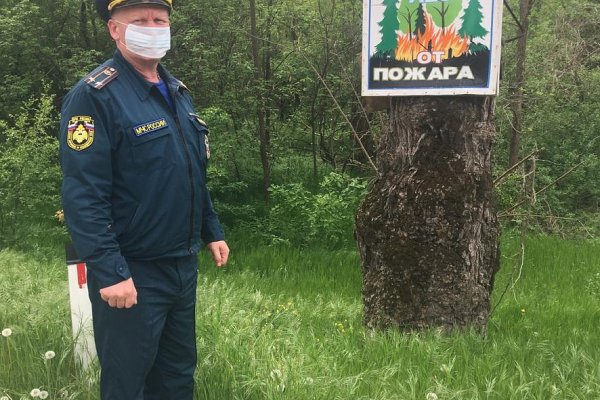 Ссылка на даркнет в тор
