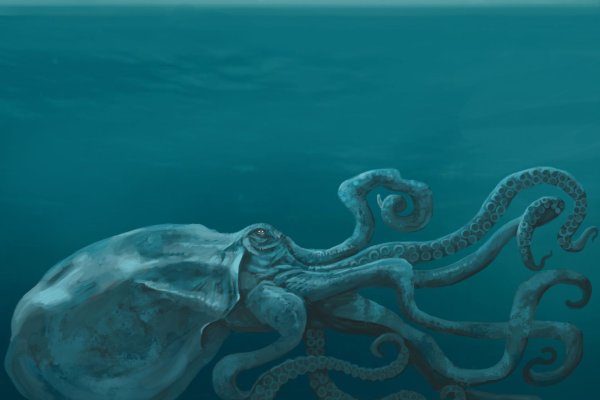 Ссылка кракен kraken torion net
