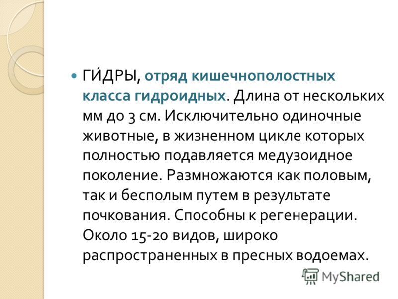 Кракен зеркало орион